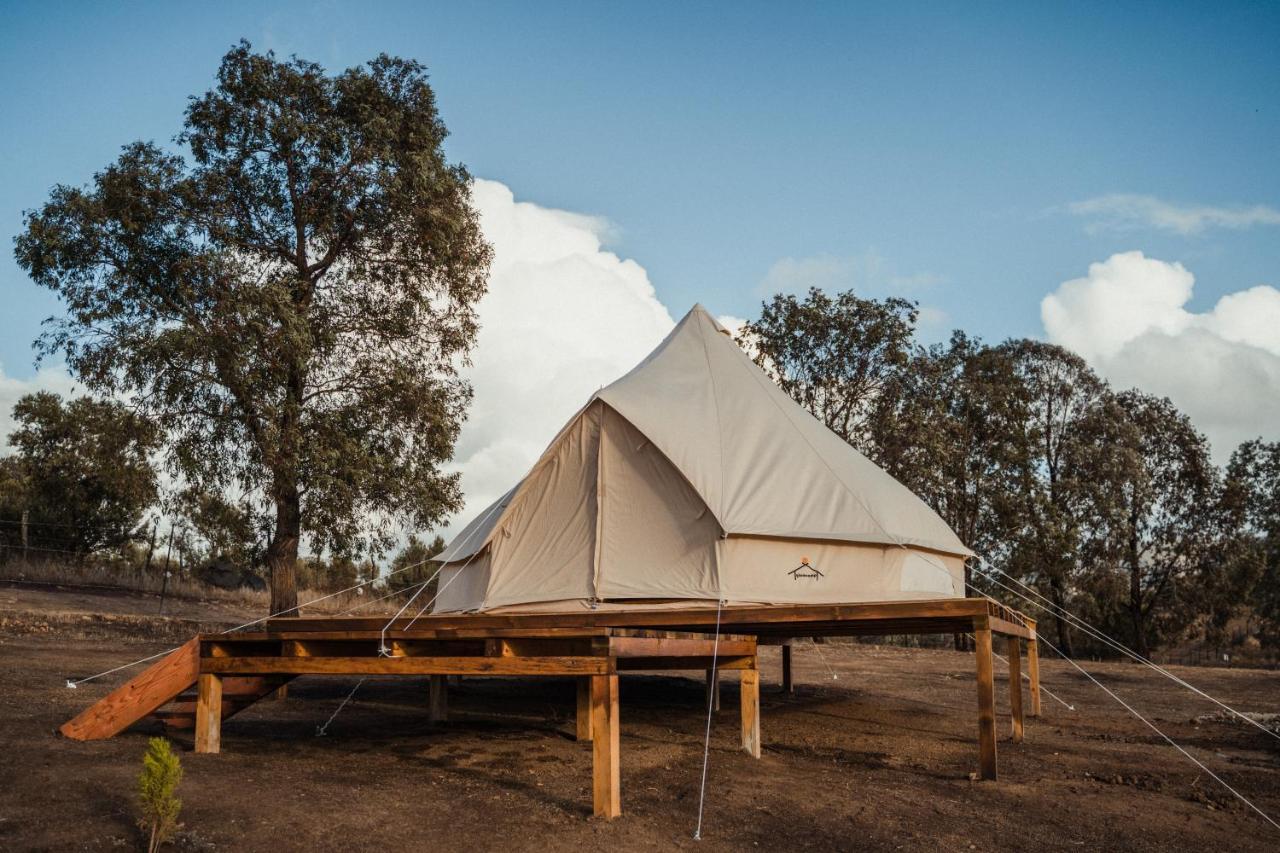 Luxury tent Valle Wine Glamping *