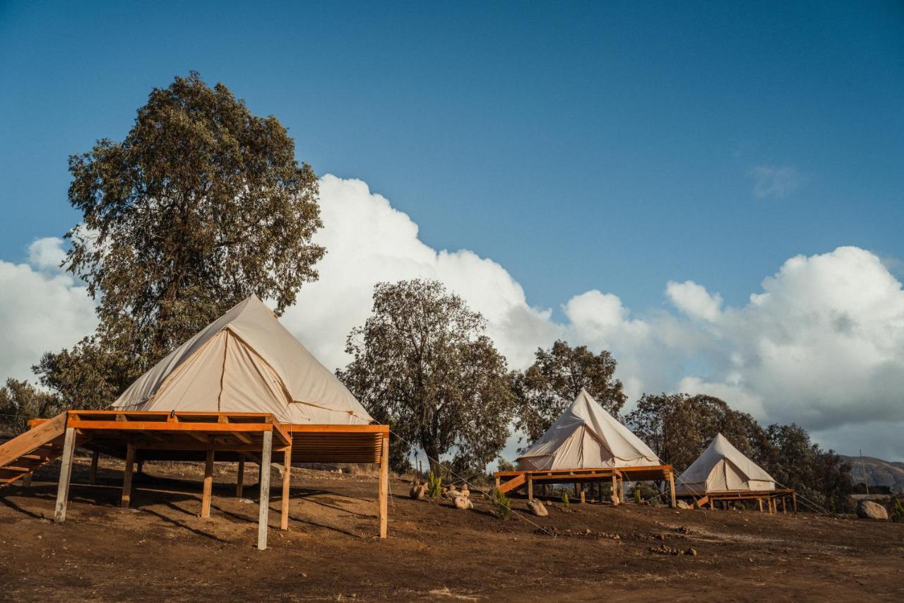 Luxury tent Valle Wine Glamping *